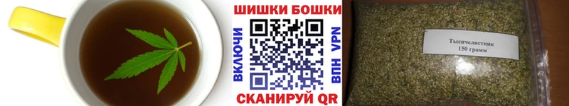 блэк спрут ссылка  закладки  Грозный  Cannafood марихуана 