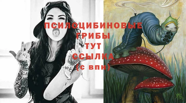 первитин Белокуриха