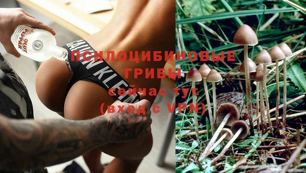 первитин Белокуриха