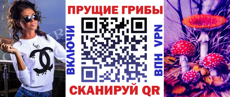 Псилоцибиновые грибы Psilocybe  Грозный 