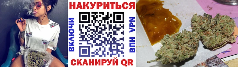 что такое   Грозный  Шишки марихуана тримм 
